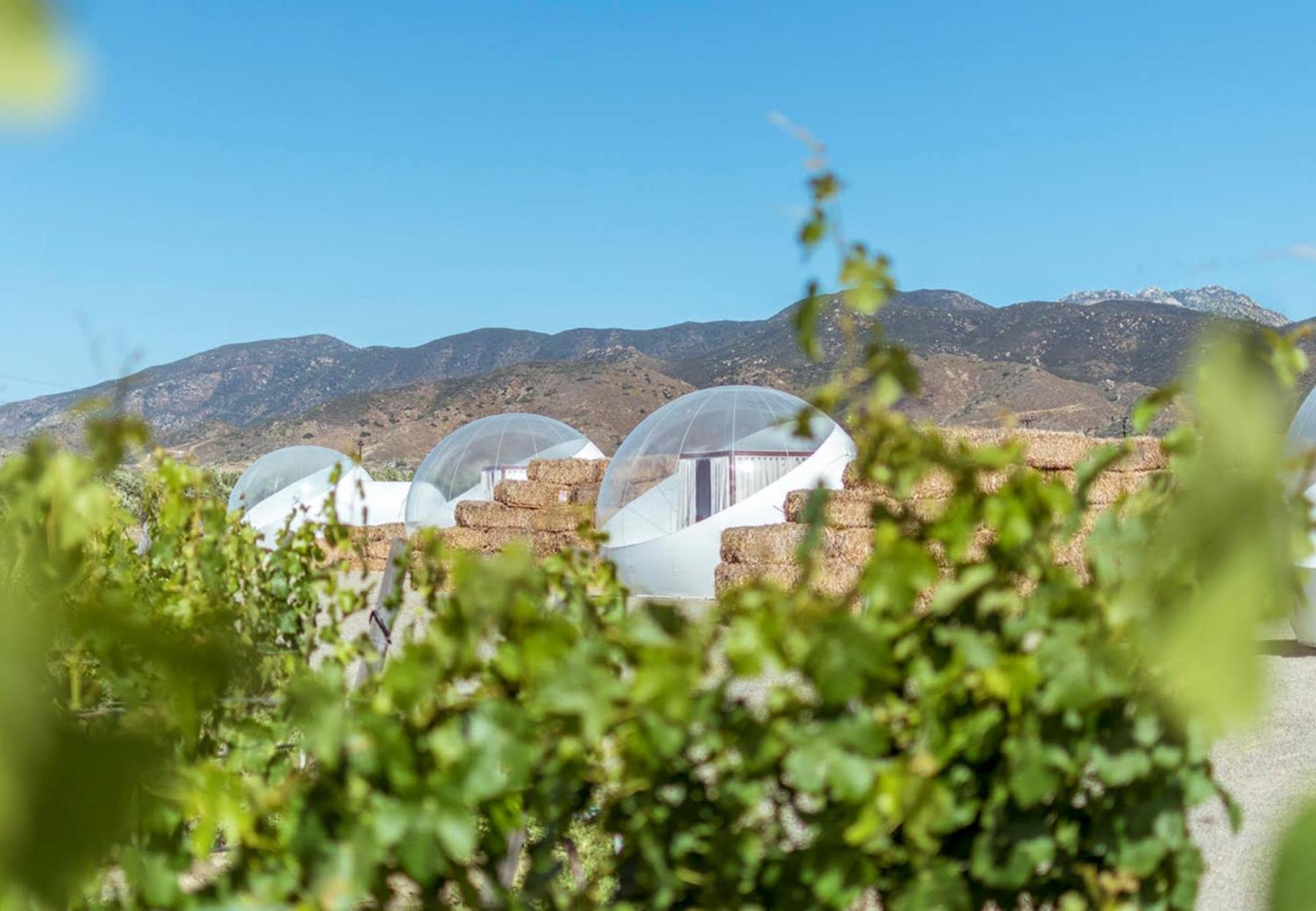 Campera Valle De Guadalupe Ensenada Extérieur photo