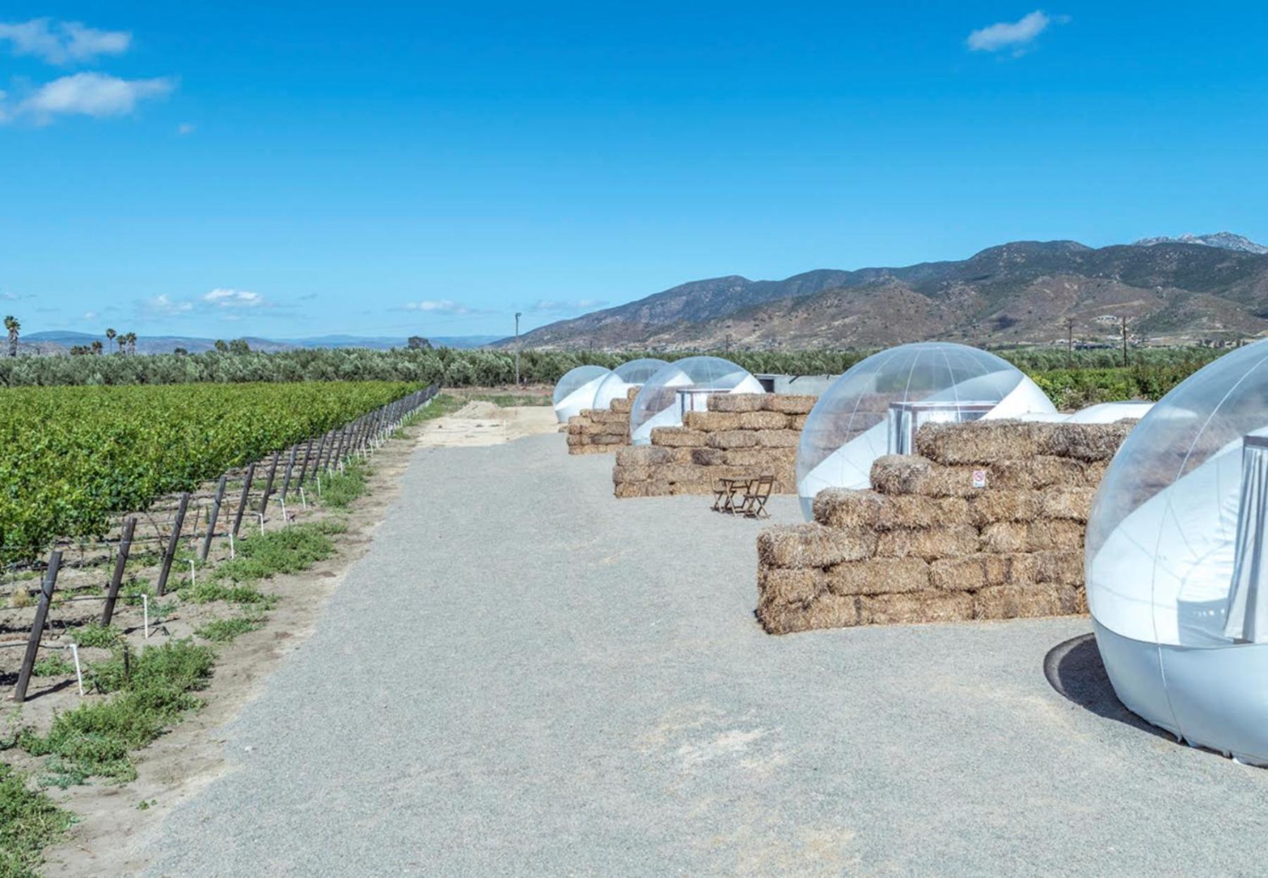 Campera Valle De Guadalupe Ensenada Extérieur photo